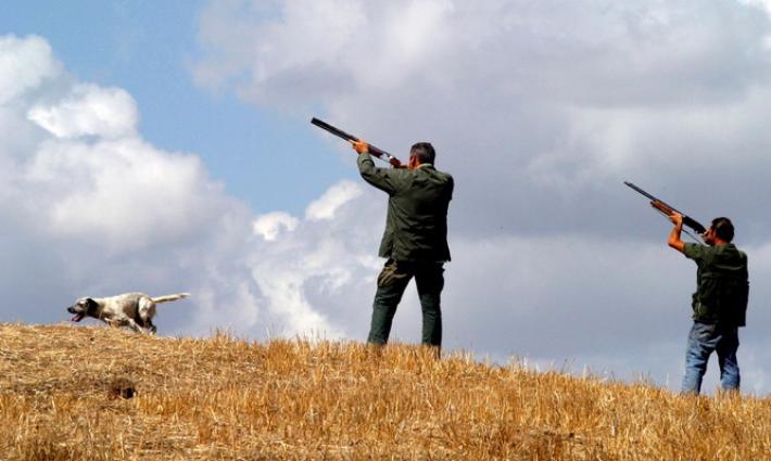 Colpito da proiettile durante battuta, morto cacciatore