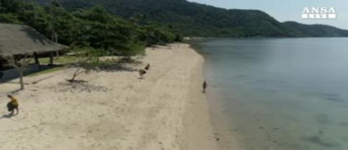 Sulle spiagge 2.000 tonnellate di microplastiche