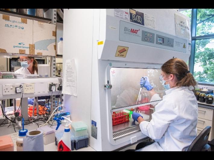 Sperimentazione Usa su Astrazeneca: il vaccino &egrave; sicuro 