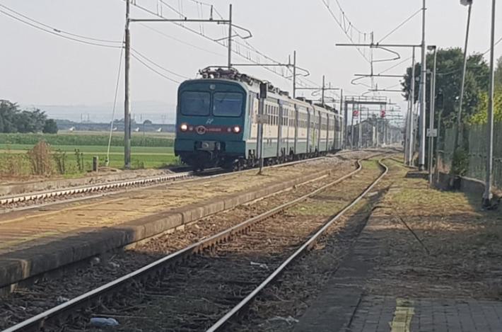 Otto gatti morti folgorati sulla linea ferroviaria della Fidenza-Cremona