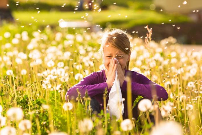 Fiori,  non solo gioie Le allergie primaverili
