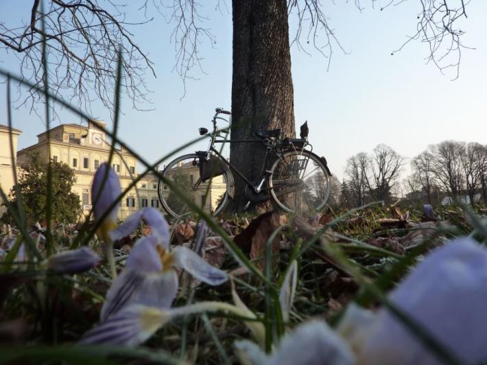 Bucaneve con vista...