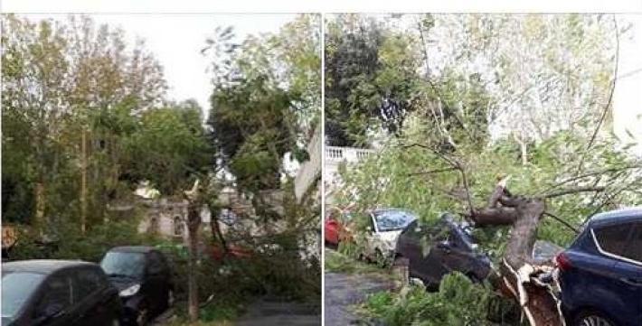 Forte vento sulla capitale: Parma "piange" anche a Roma