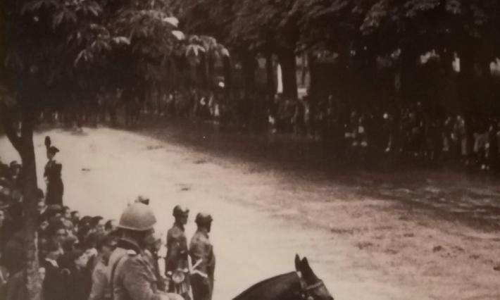 Addio agli storici ippocastani