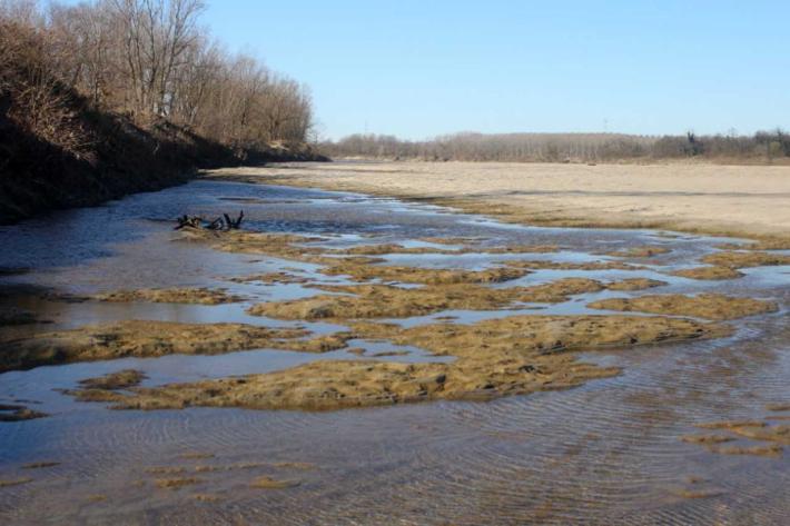 Allarme Coldiretti: Po "secco" come d'estate 