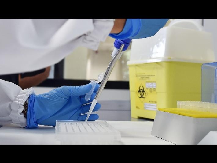 La variante brasiliana &egrave; arrivata anche in Emilia-Romagna