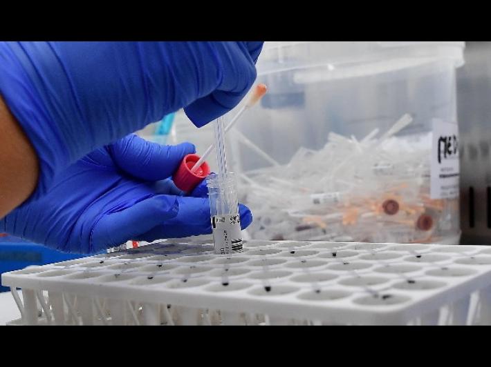 Sviluppato test rapido per la diagnosi delle varianti Covid