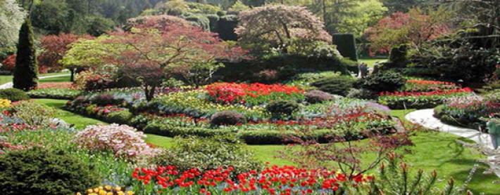 Giardinieri "d'arte" per i parchi storici: in Emilia-Romagna 600mila euro per formare 97 professionisti