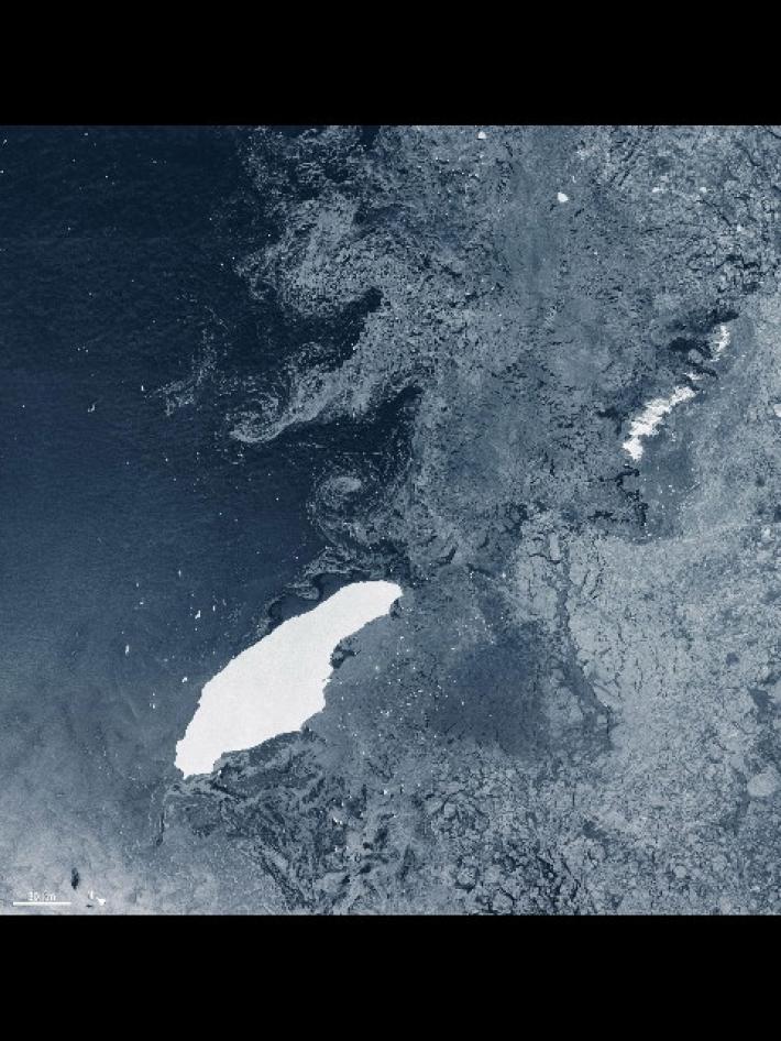 Si scioglie l'iceberg pi&ugrave; grande (e social) del mondo