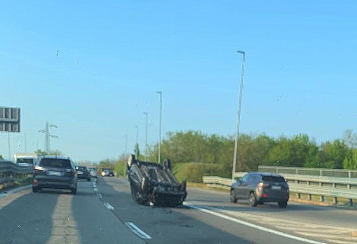 Per schivare un capriolo in tangenziale, l'auto esce di strada e si ribalta