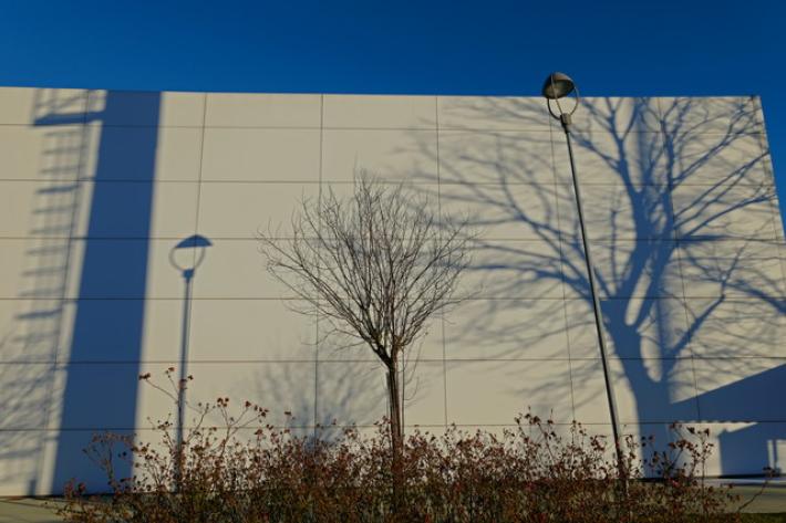 L'inverno con le sue ombre