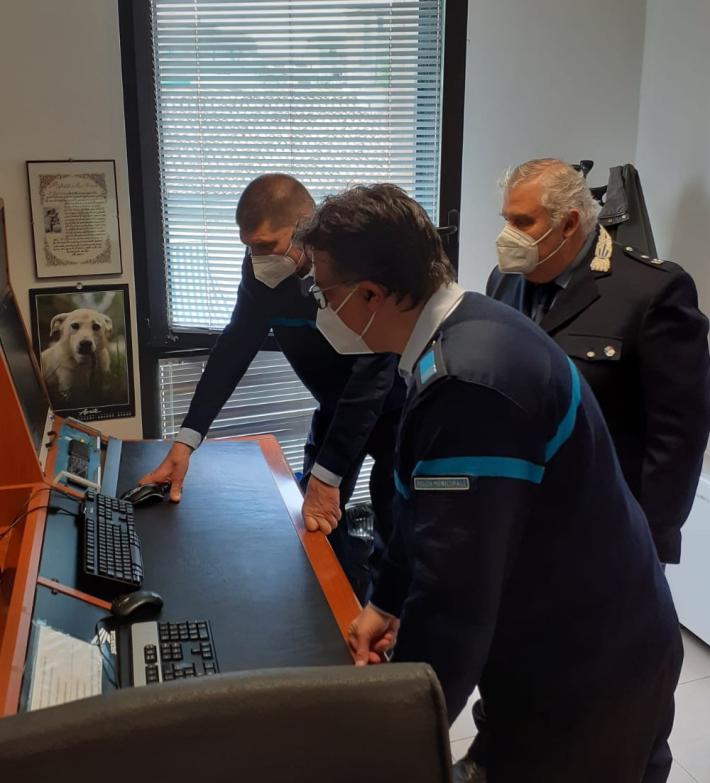 Parcheggia nello stallo dei disabili: lite, insulti e guai per un automobilista