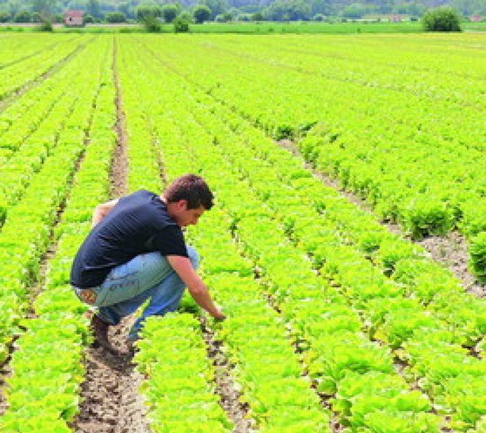La Fondazione Barilla: "Bene il bio in Europa ma il consumo di acqua &egrave; ancora troppo alto"