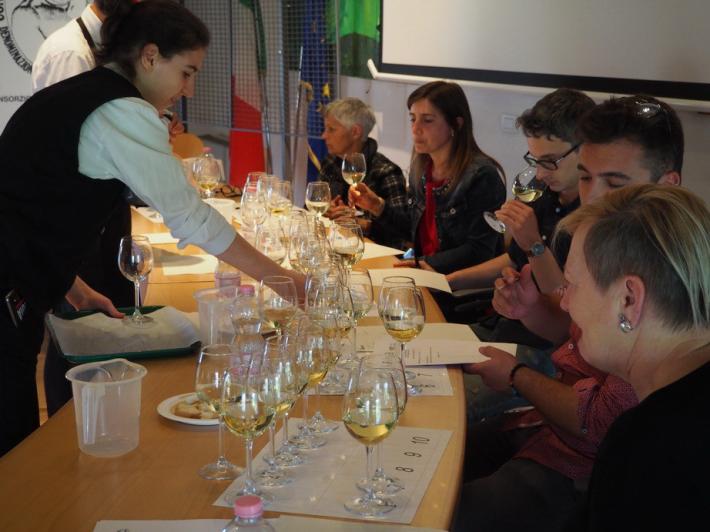 Festival della Malvasia: visite online a cantine e vigneti. E torna il Premio Cos&egrave;ta d&rsquo;Or