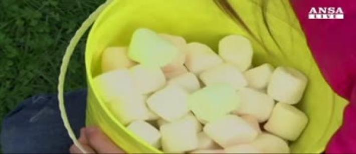 In Michigan piovono marshmallows... Video