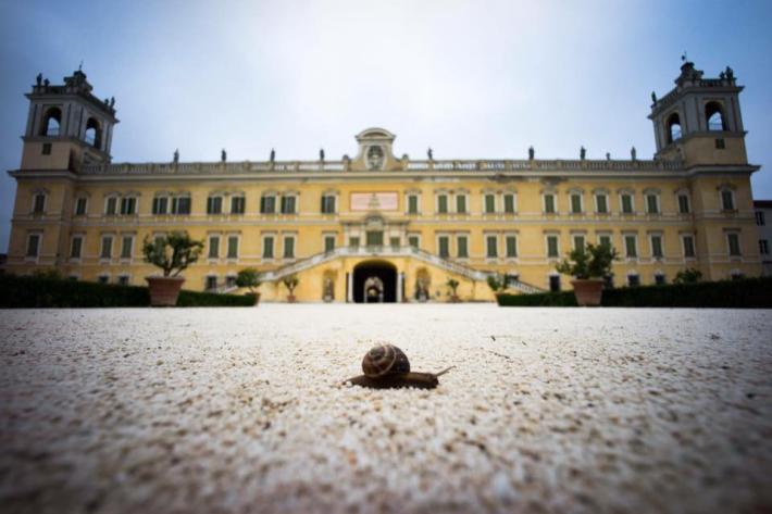 Il settimo sigillo del Festival della Lentezza. Arrivano anche Ascanio Celestini, Moni Ovadia e Marco Paolini