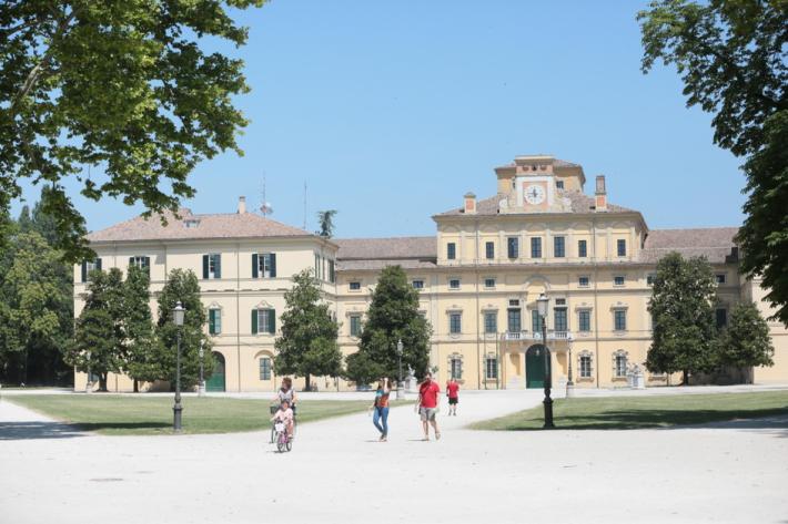 No alle potature: &laquo;Strage di nidi&raquo; Il Comune: &laquo;Sicurezza a rischio&raquo;