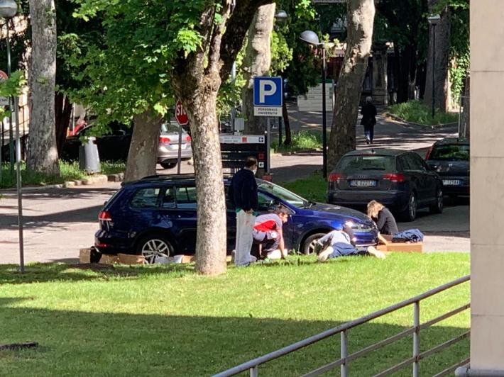 Caccia al coniglio al Maggiore
