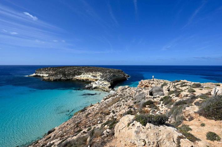 Speranza: 28 milioni di prime dosi &egrave; l'orizzonte per la ripartenza dell'Italia