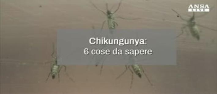 Chikungunya: 6 cose da sapere