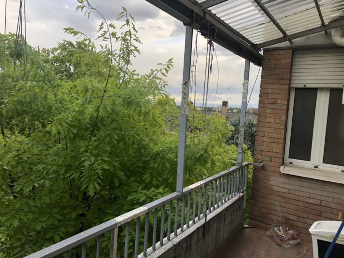 Piazzale Maestri, invasione di rami fino al quinto piano. &laquo;Problemi di sicurezza&raquo;