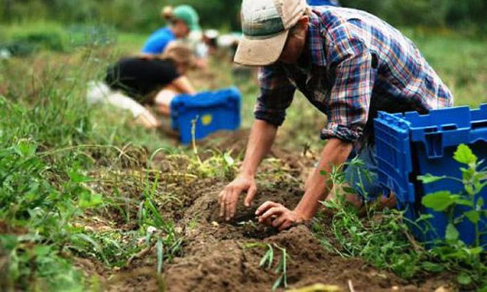 Rinnovato il contratto provinciale degli operai agricoli e florovivaisti