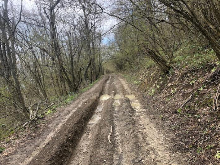 &laquo;Sentieri e cammini storici devastati dai mezzi motorizzati&raquo;