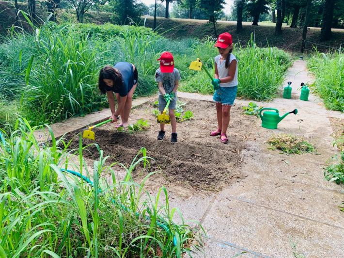 Lostello, aperte le preiscrizioni per il programma dedicato all'infanzia 