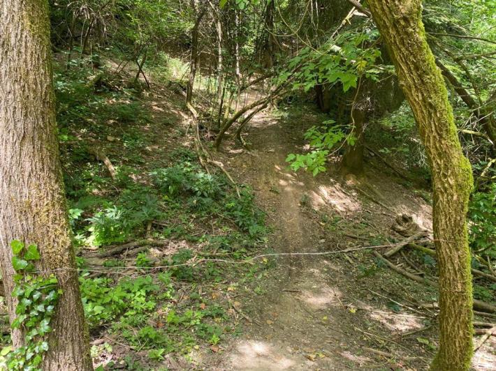 I cavi &laquo;ghigliottina&raquo; nei Boschi di Carrega: il mistero e le polemiche