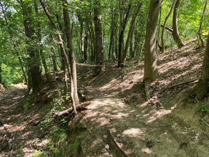 I cavi fra gli alberi nei Boschi di Carrega, ferito un biker: &laquo;Un volo terribile, &egrave; andata bene&raquo;