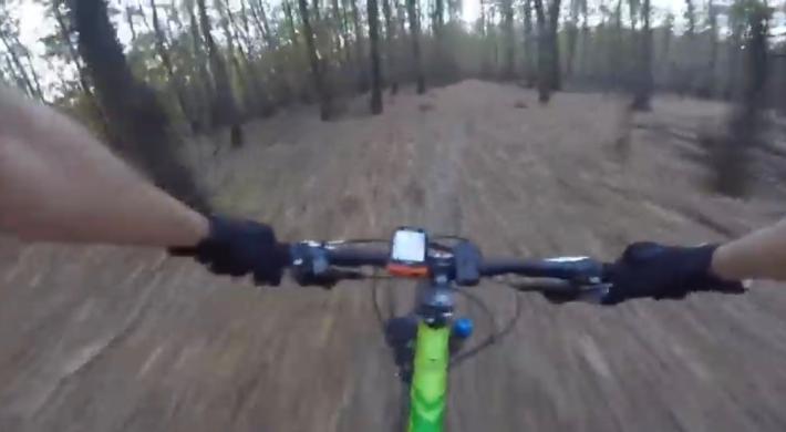 Boschi di Carrega, una guardia ecologica: &laquo;Anche i ciclisti devono rispettare le regole&raquo;