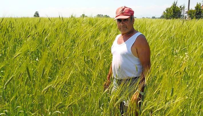 Eleuterio: "Una scelta  biologica: dai fagioli alle bacche di goji"