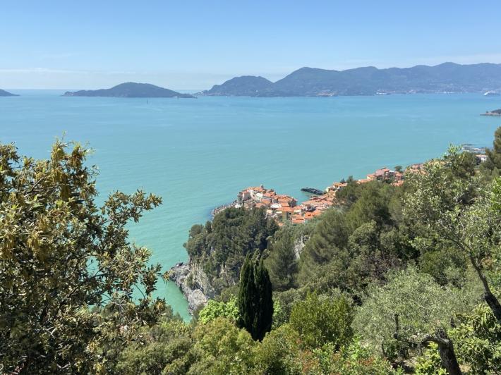 Montemarcello, trovate in un bosco pistole e bombe a mano forse usate per reati 