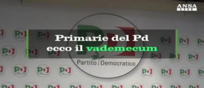 Primarie del Pd: il vademecum Video