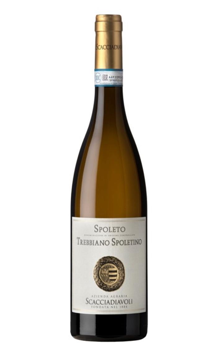 Sorso persistente per l'ultimo nato in casa Scacciadiavoli