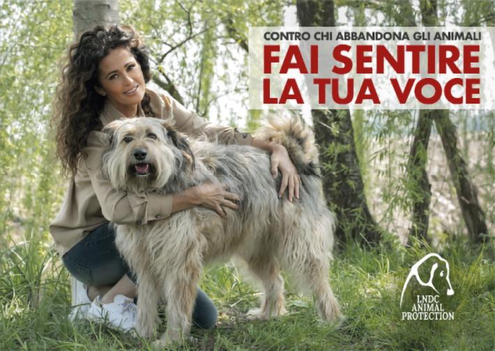 La campagna #faisentirelatuavoce per denunciare chi abbandona gli animali