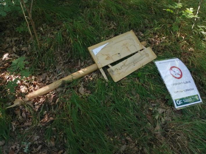Sono tornati i vandali ai Boschi di Carrega. &laquo;Sembra un attacco organizzato&raquo;