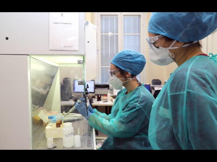 Covid, 4 positivi nelle Marche in 24 ore