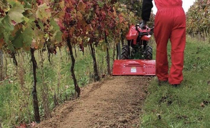 Basilicanova, ancora un furto