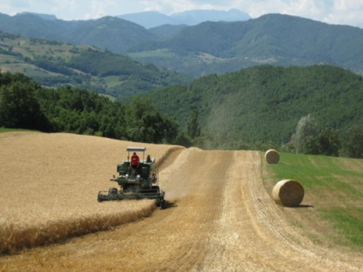 Rinnovato il contratto per quadri e impiegati agricoli: riguarda circa 30mila lavoratori in Italia