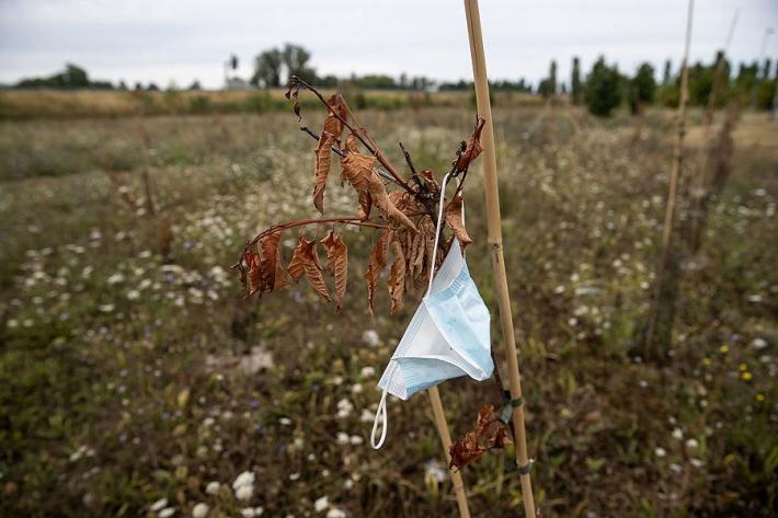 &laquo;Il bosco urbano? Solo rami secchi&raquo;. Scatta la protesta