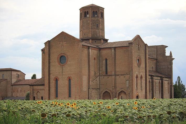 Abbazia di Valserena: se i girasoli aggiungono magia alla bellezza