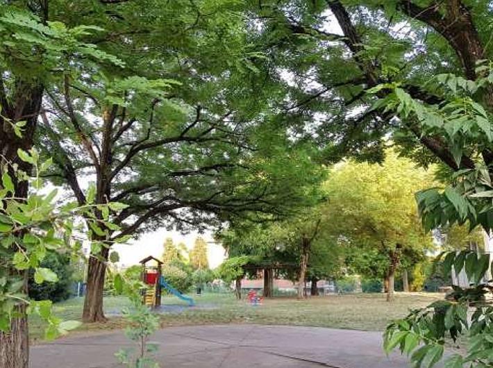 Manifesto San Leonardo: "Il Piano verde del Comune? Nel nostro quartiere situazione molto peggiorata"