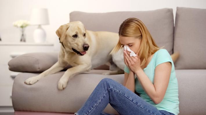 Test ISAC: un solo prelievo, 112 possibili allergie