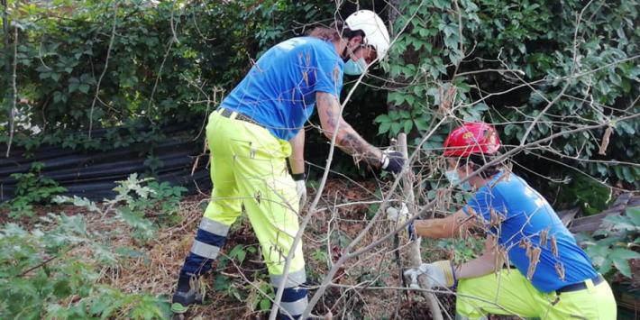 Un esercito di volontari per ripristinare la &laquo;Fattoria la Rebecca&raquo;
