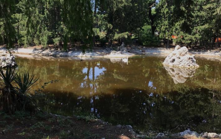 Salso, bonifica per il laghetto dei cigni