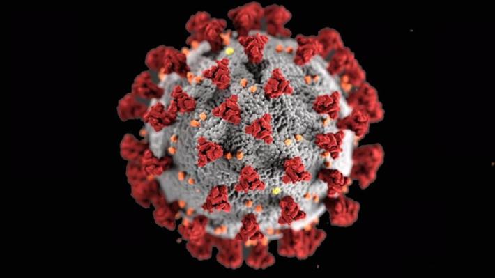 Tornano a salire i contagi a Parma: 67 nuovi casi. Sempre in 2 in terapia intensiva