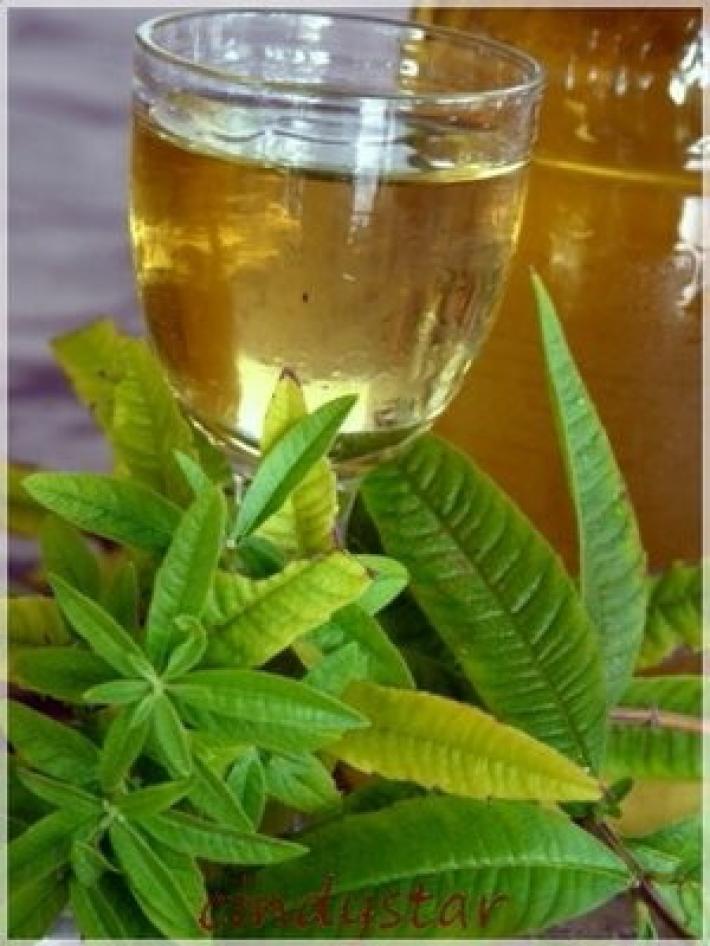 Concorso Erba luigia: iscrizioni &nbsp;aperte