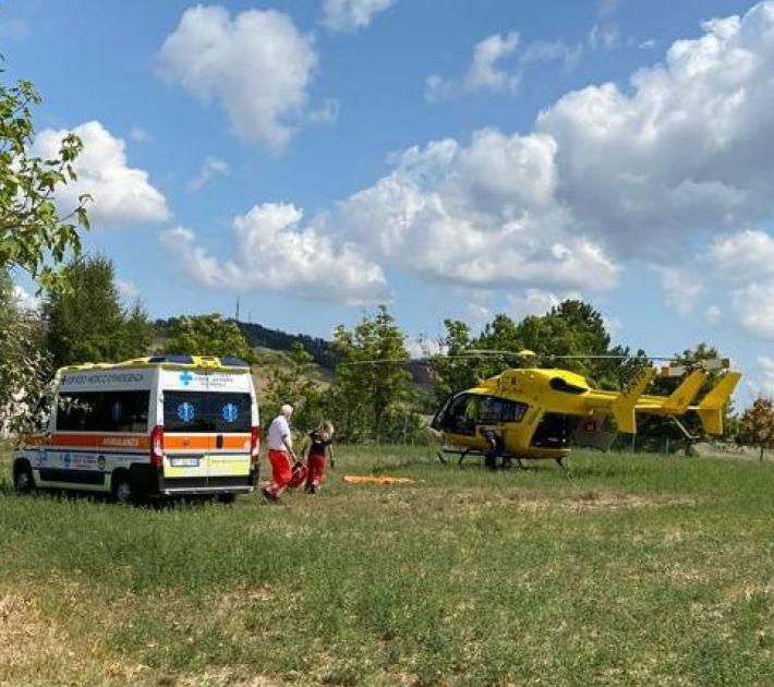 Punto da una vespa va in shock anafilattico, salvato dai soccorsi