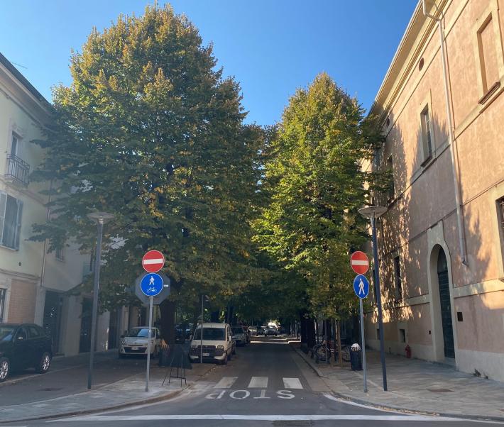 &laquo;I tigli di via Costa arrivano a toccare le case: bisogna potarli&raquo;